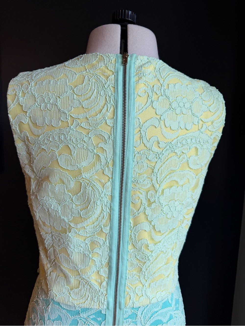 Maggy London Petites, Sleeveless Corded Lace Overlay Sheath Dress - Picture 7 of 10